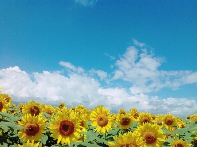 (写真素材:photoAC)