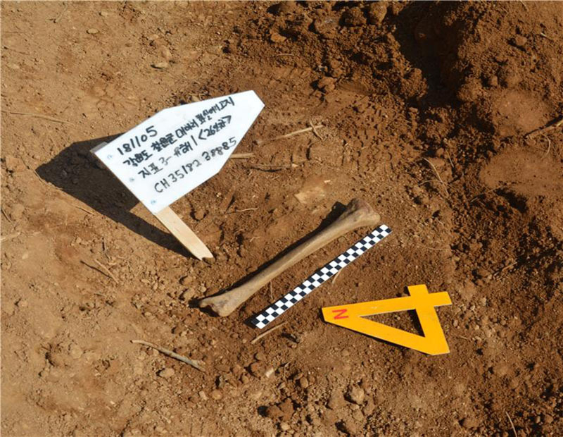 「ファサルモリ高地」で見つかった遺骨。写真は国防部提供。