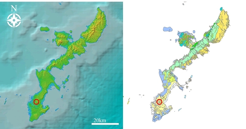 左：沖縄県の地形図（スーパー地形セット）、右：地質図（シームレス地質図）