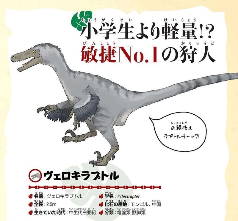 ヴェロキラプトルの復元図引用元：『ああ、愛しき古生物たち ― 無念にも滅びてしまった彼ら』p.30 土屋健著、芝原暁彦監修、ACTOW絵（笠倉出版社,2018年）