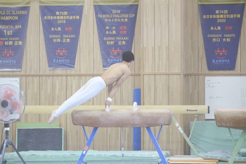 自作 円馬 ☆器械体操・旋回の技練習などに☆ あん馬