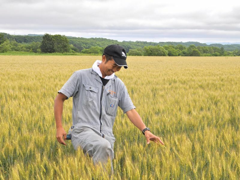 北海道十勝の小麦（はるきらり）生産者、前田農産の前田茂雄さん（画像提供:新麦コレクション）