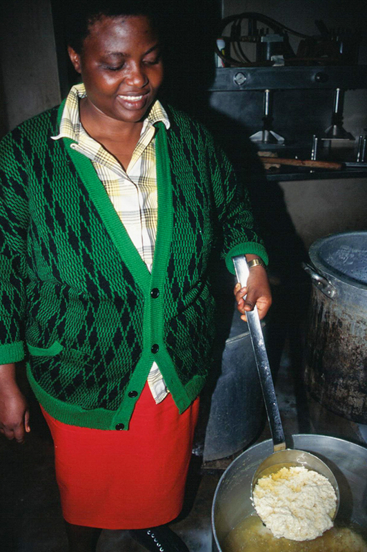 豆腐の製造過程を説明するマドレーヌ（撮影／筆者）（1998年）