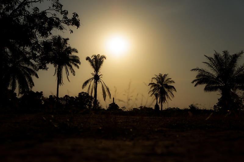 中央アフリカ共和国（撮影:筆者）