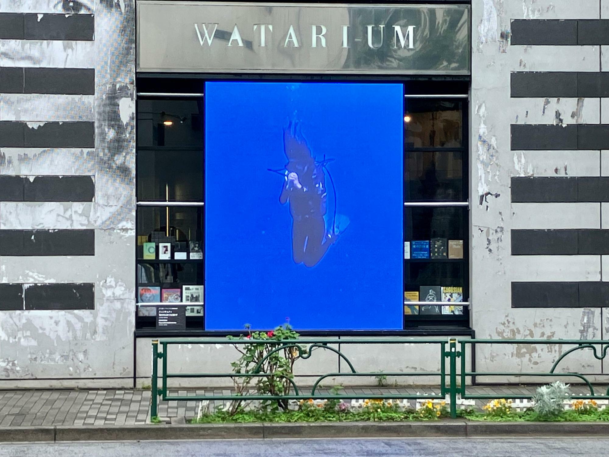 ワタリウム美術館前の路面で展示中の《海の中に祈りを溶かす》 2022-2023 photo takasix