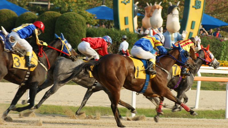 日本馬の底力に韓国お手上げ 第1回 コリアカップ で見せつけた日本競馬の実力と韓国の意外な反応 慎武宏 個人 Yahoo ニュース