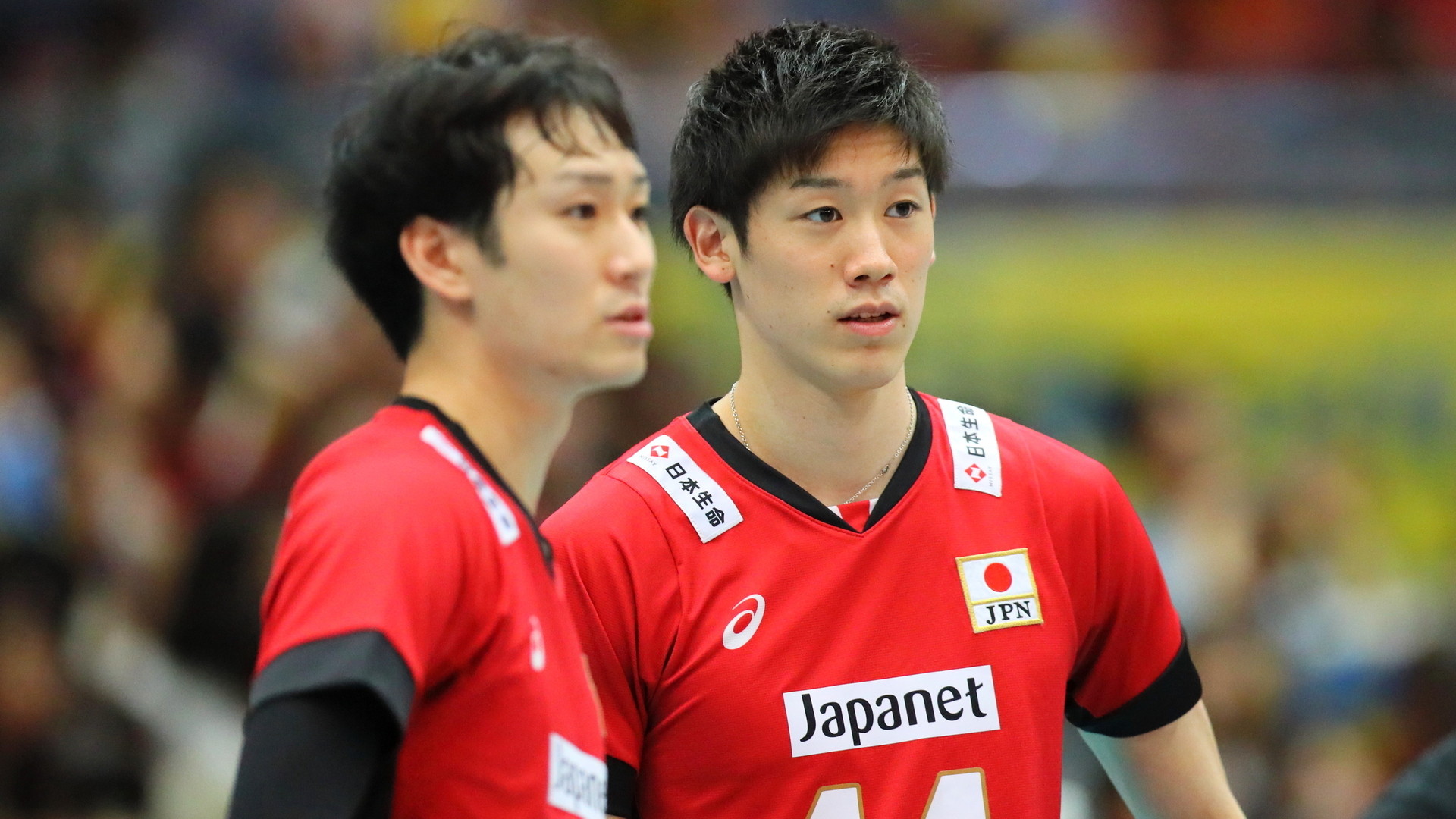 2017 バレーボール 龍神NIPPON 石川祐希 柳田将洋 直筆サインカード 男子 石川祐希 柳田将洋｜日本生命保険｜Yuki Ishikawa CM 2017