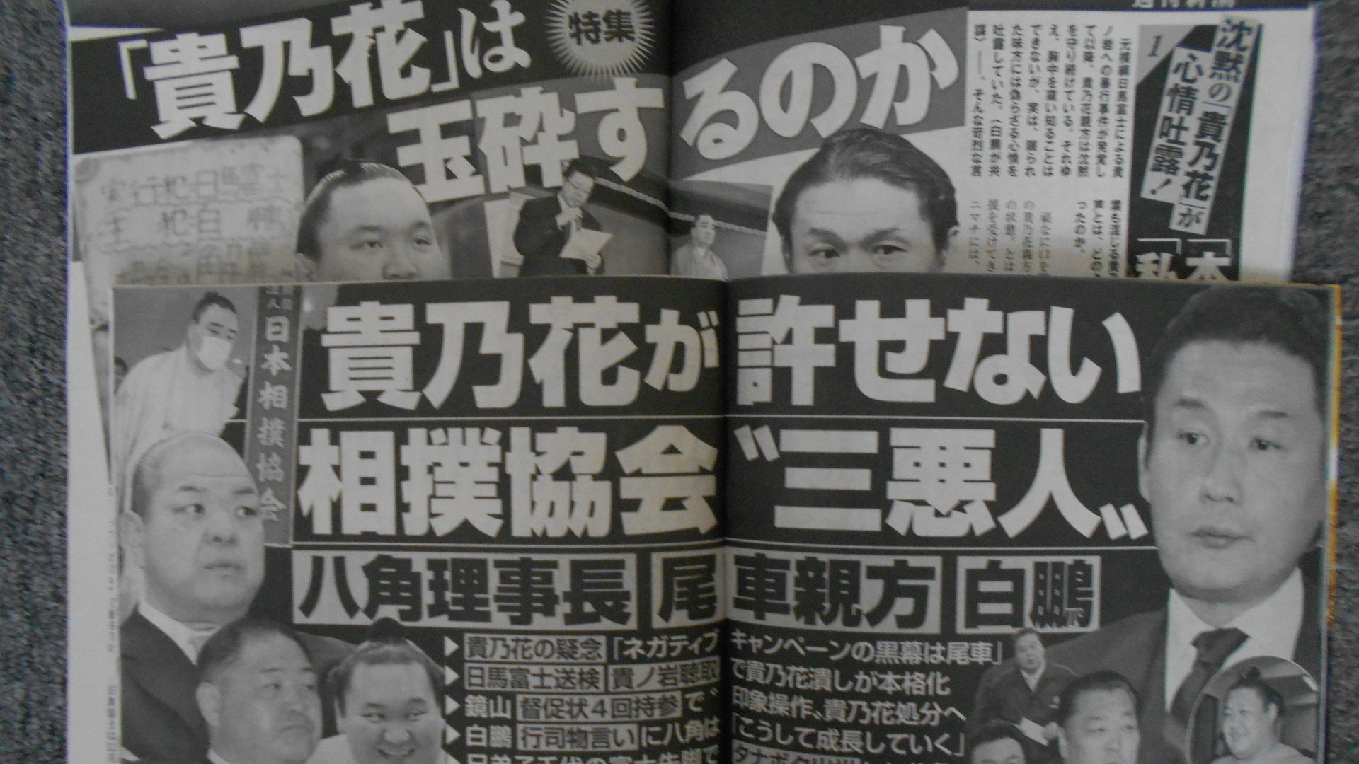暴行事件当日 日馬富士に 自転車に乗らせて あなたが乗っていいと言ったから あなたのせいですからね と言われた 2