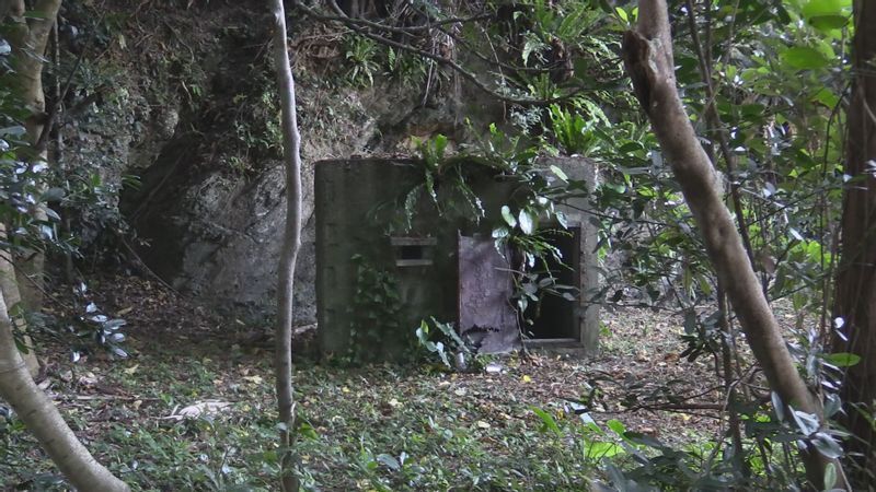映画『夜明け前のうた』で取り上げられた私宅監置の小屋の跡(原監督提供)