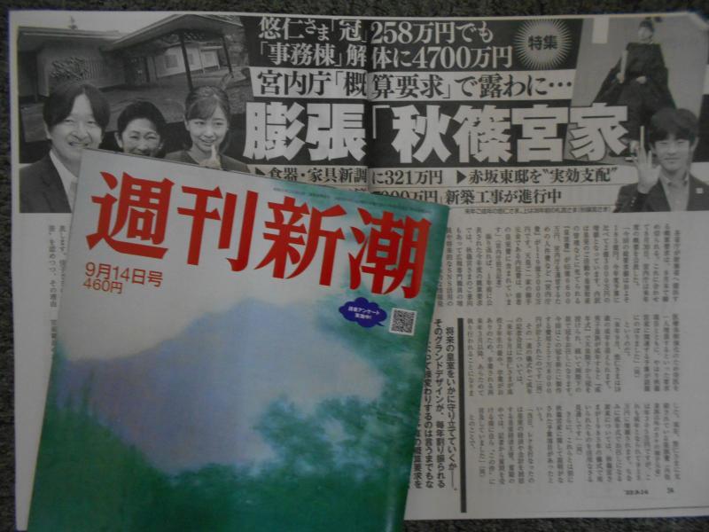 『週刊新潮』9月14日号(筆者撮影)