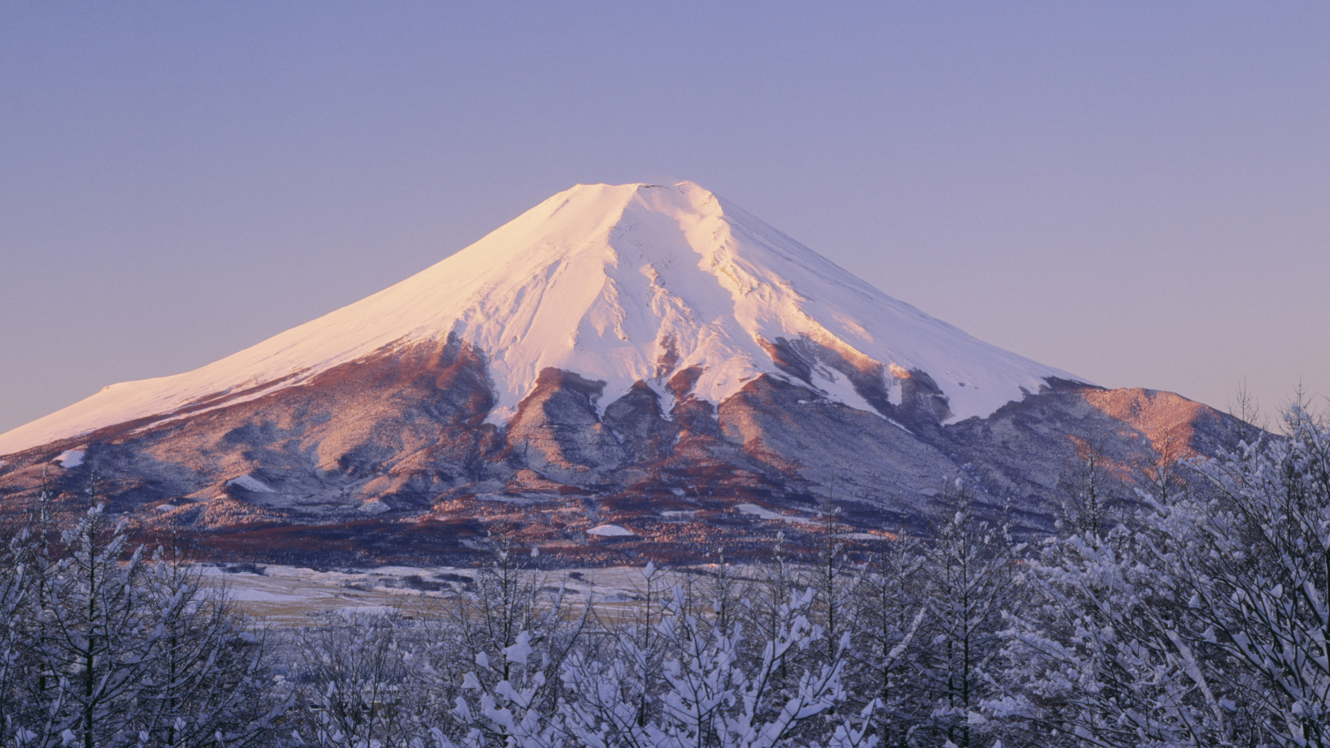 ダーウィン賞 スマホ片手に配信しながら冬富士登山した男性が滑落死 とミスリード 実際はアクションカム 篠原修司 個人 Yahoo ニュース