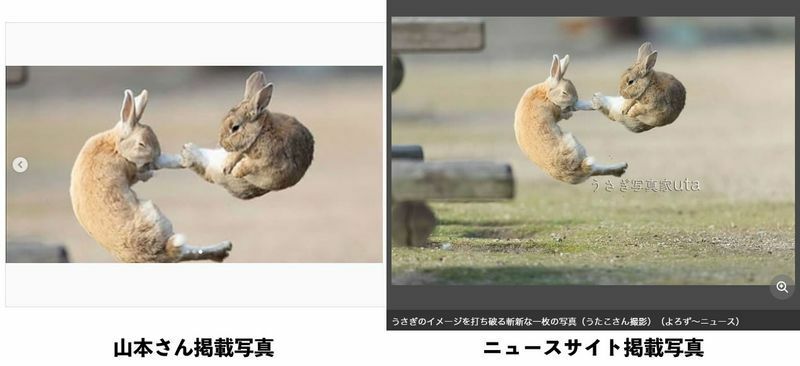 掲載されていた写真の比較。山本さんのインスタグラムとニュースサイト「よろず～ニュース」より。筆者キャプチャ。