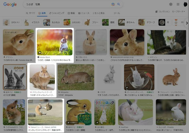 「うさぎ 写真」の検索結果1ページ目。明るい部分が山本さんが利用していた写真。Google画像検索より。筆者キャプチャ後に加工。
