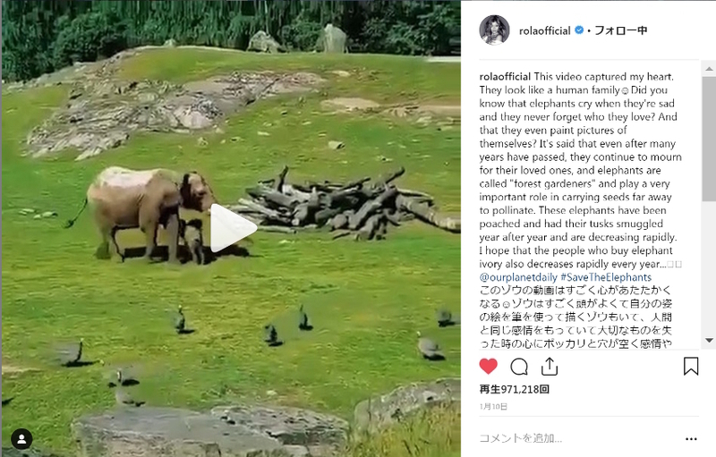 ローラさんのインスタより。投稿には　#SaveTheElephants　（ゾウを守ろう）とのハッシュタグ