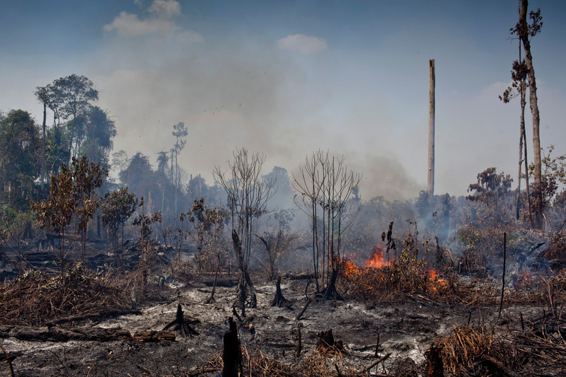 インドネシア・スマトラ島での森林火災の様子（C） Ulet Ifansasti / Greenpeace