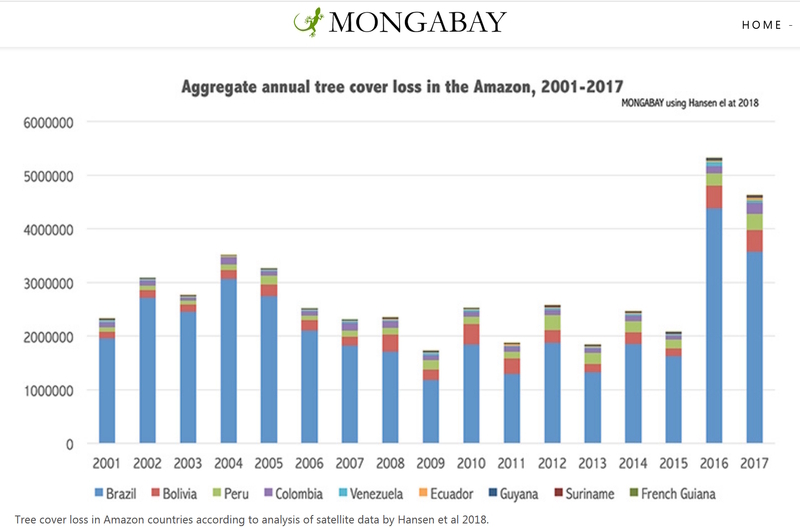 アマゾンで失われた木々　引用先：MONGABAY