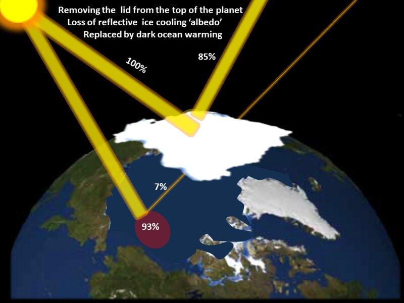 画像出典：https://www.climateemergencyinstitute.com