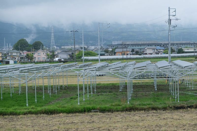 ソーラーシェアリングは農地に支柱を立て、その上に太陽光パネルを設置する　筆者撮影