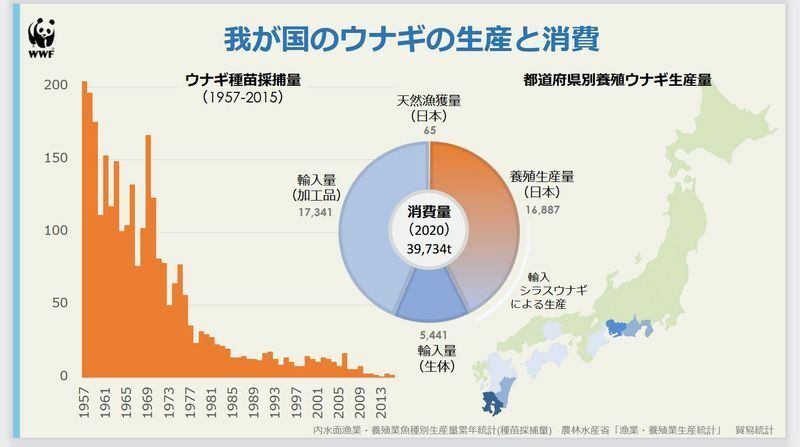 土用の丑の日 やめません ウナギ７割が違法疑い メディアが報じない有効な対策とは 志葉玲 個人 Yahoo ニュース