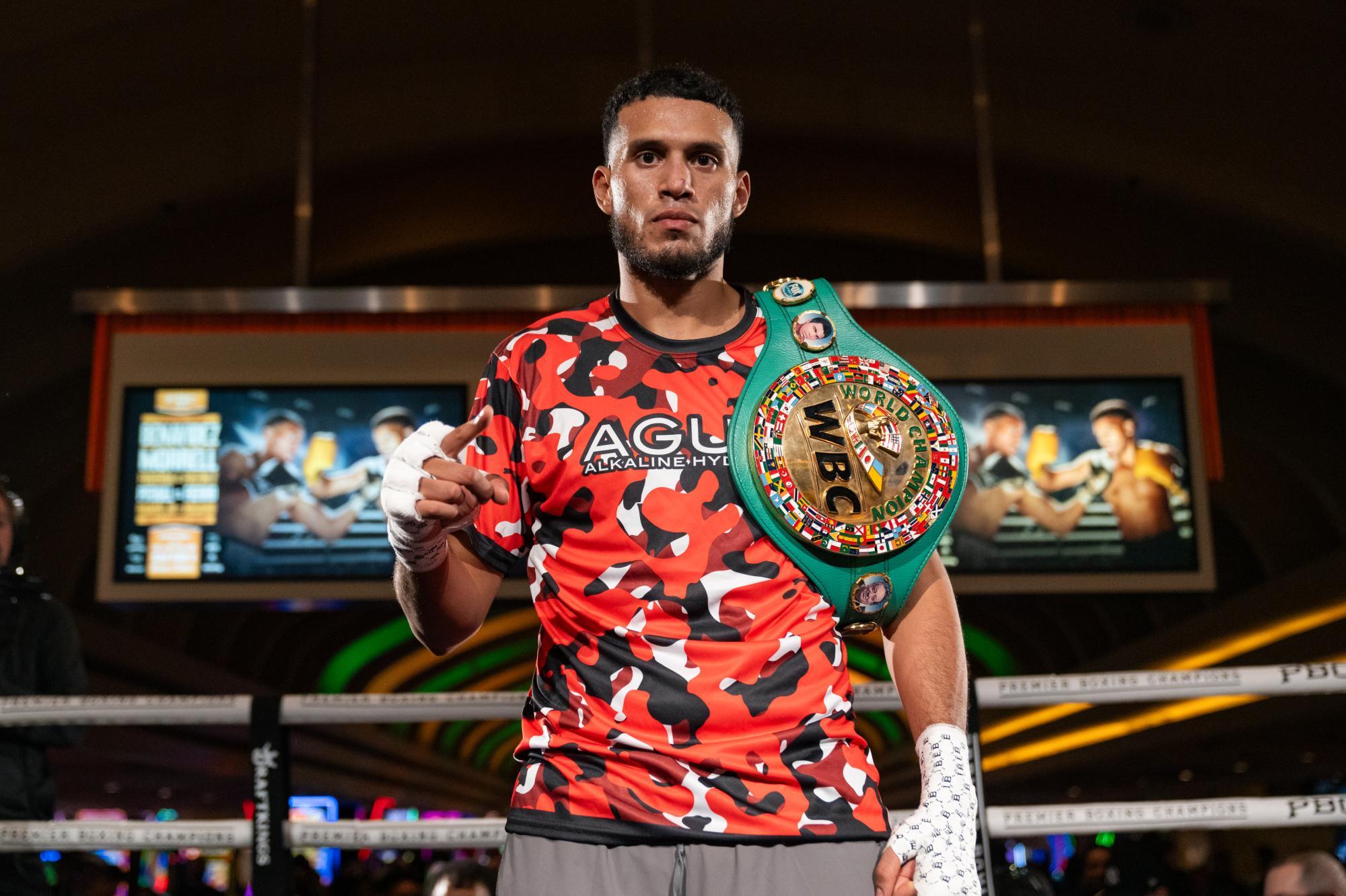 明日ゴング!WBA/WBC暫定ライトヘビー級タイトルマッチ(林壮一 明日ゴング!WBA/WBC暫定ライトヘビー級タイトルマッチ(林壮一