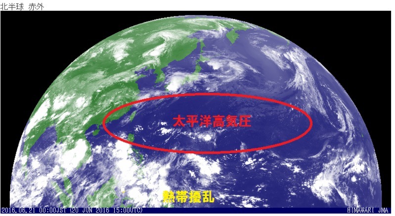 日本の南で太平洋高気圧が例年以上に強い。気象庁ＨＰより加筆。