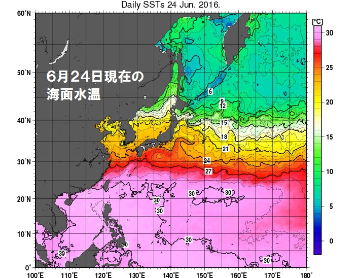 ６月２４日現在の海面水温の状況。（気象庁ＨＰより）