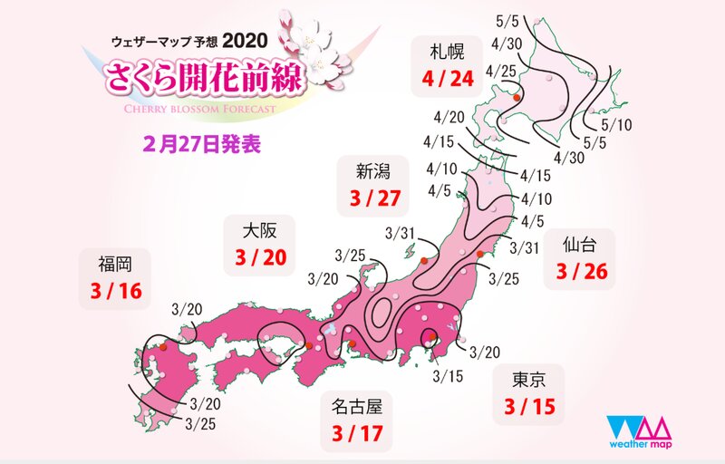 桜の開花予想（ウェザーマップ）