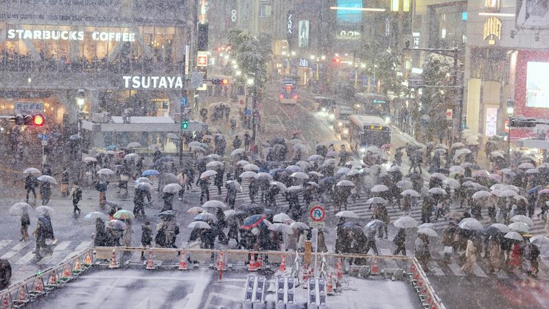 東京都心は最難関の降雪予報 杉江勇次 個人 Yahoo ニュース