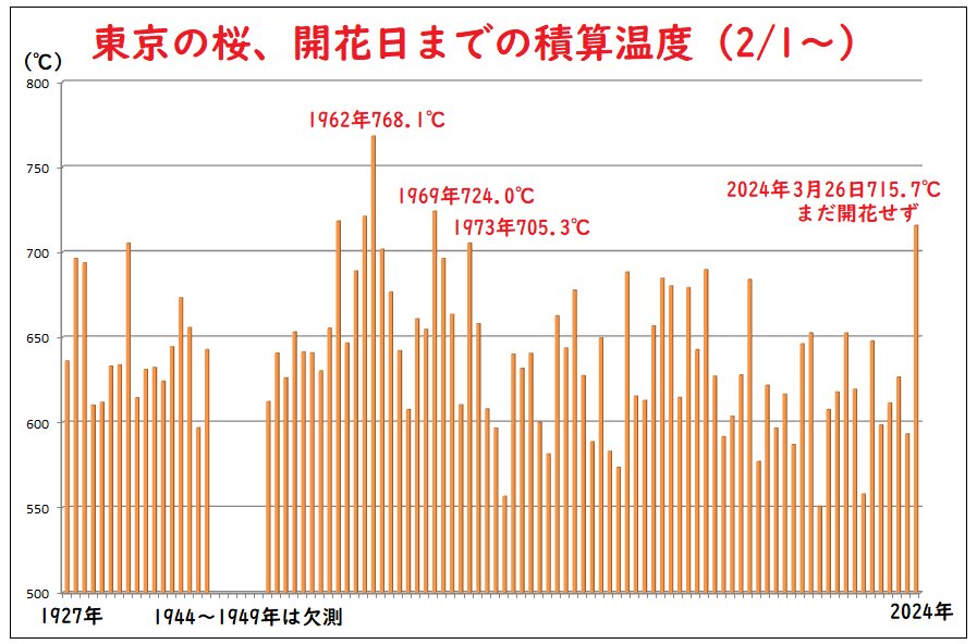 東京の桜、２月１日から開花日までの最高気温の積算温度（筆者作成）