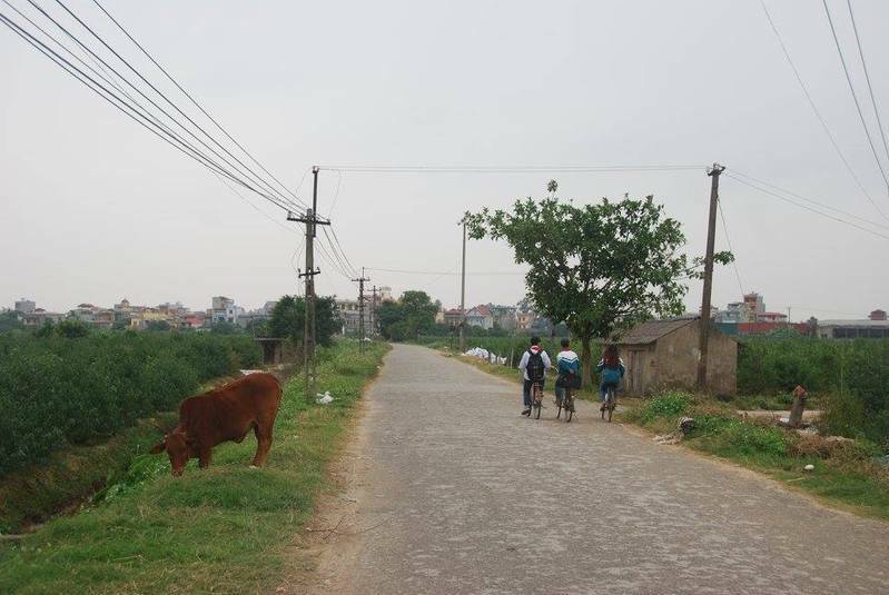 ベトナム北部の農村。技能実習生の多くは農村出身だ。筆者撮影