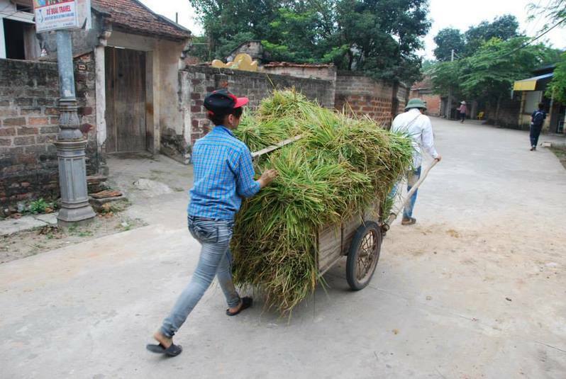ベトナムの農村。実習生には農村出身者が少なくない。筆者撮影。