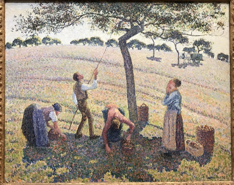 「りんごの収穫」1888年制作　ダラス美術館所蔵