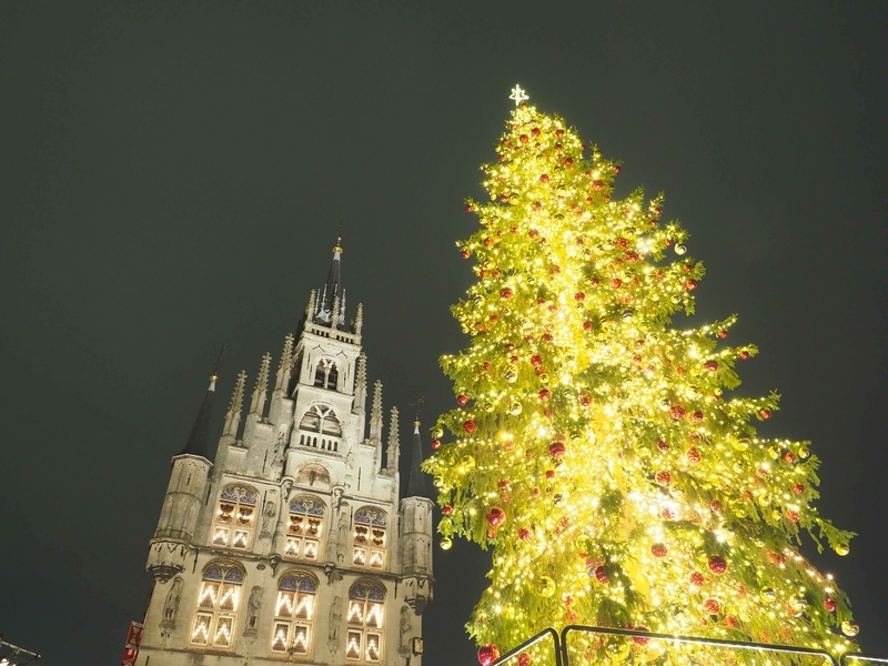 ライトアップされたクリスマスツリーと市庁舎