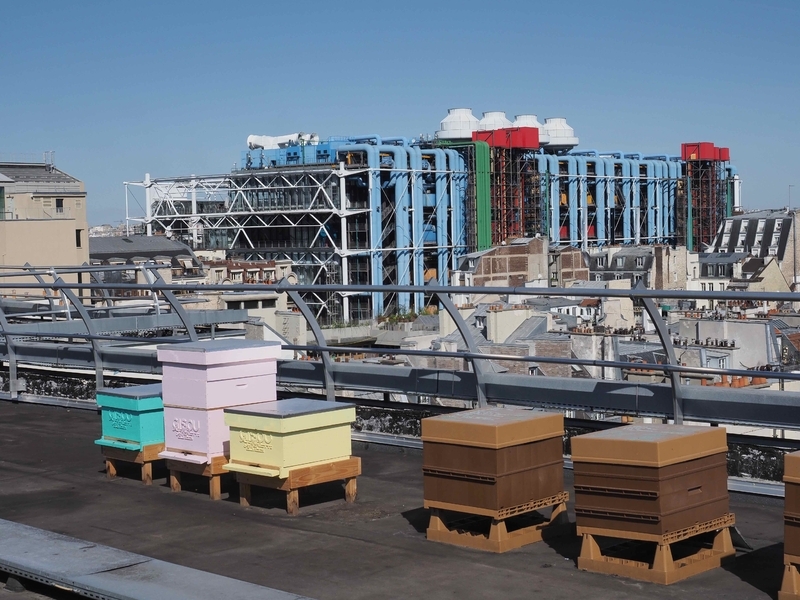 屋上では蜂蜜も採れる。巣箱の背景に見えるのはポンピドゥーセンター