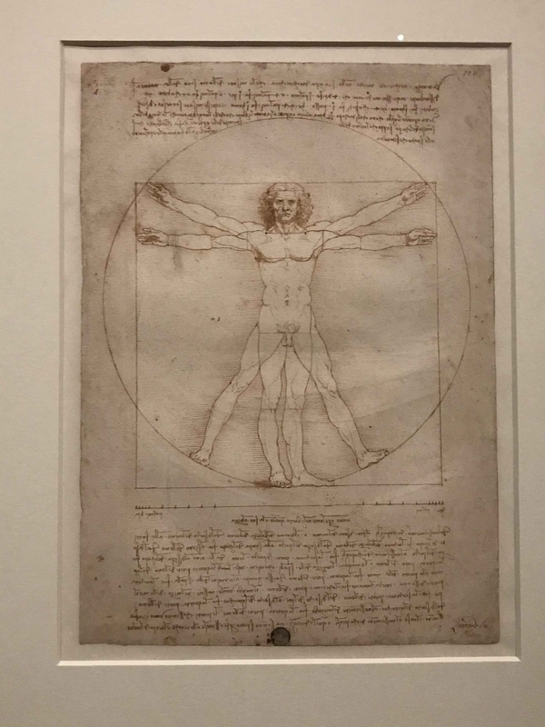 『ウィトルウィウス的人体図』（ヴェネチア・アカデミア美術館）も展示されている
