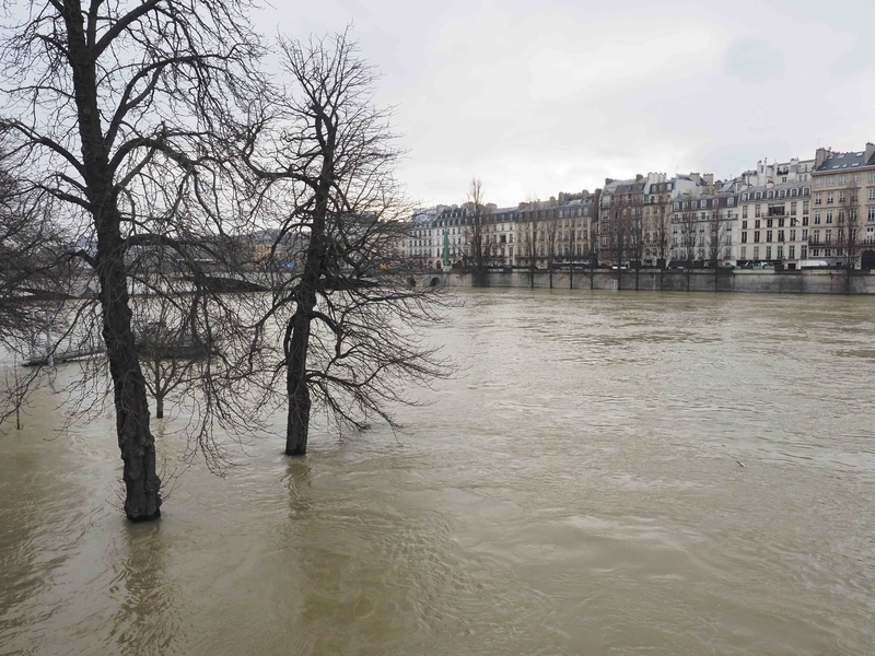 2018年1月、セーヌの水位が上がり、河岸の木々がすっかり冠水してしまった