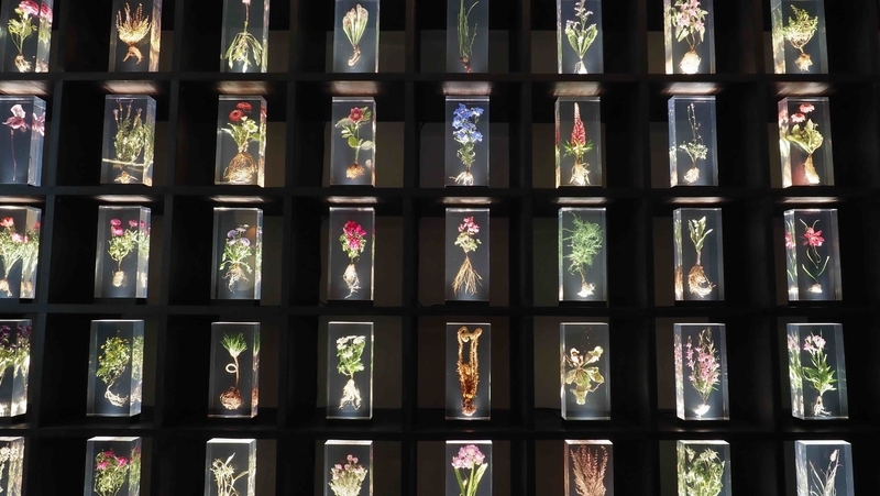 今年は期間限定の花装飾としてではなく、常設のインスタレーションとして東信さんの作品が展示されています。作品名は「ビブリオテック『フラワーボックス』」