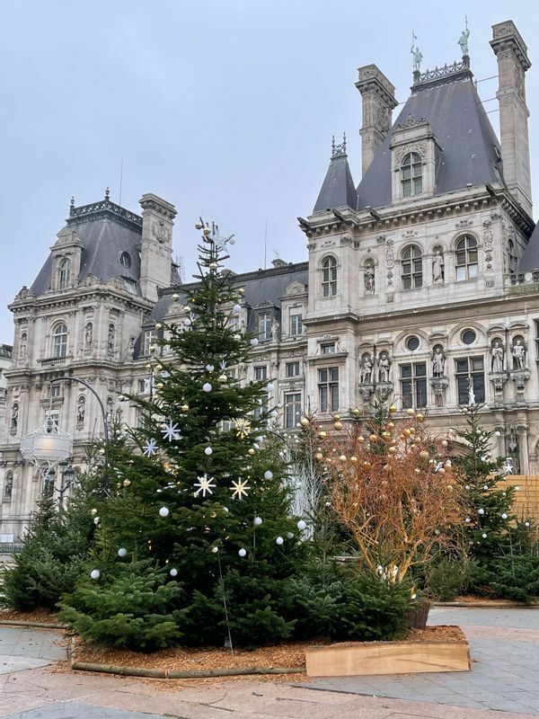 コロナ禍の2020年でも力の入ったパリ市庁舎前のクリスマスツリー。日が暮れてイルミネーションが始まるとさらに美しいデコレーションになる