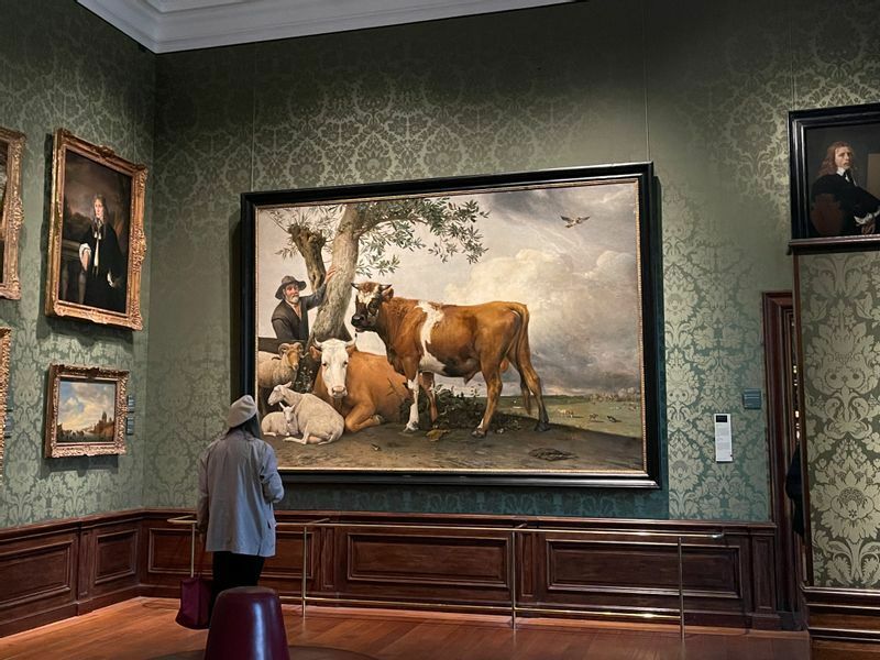 美術館の代表作品の一つPaulus Potte作「牡牛」（1647年）。ありきたりのテーマがこれほど大きな画面で描かれた画期的な絵