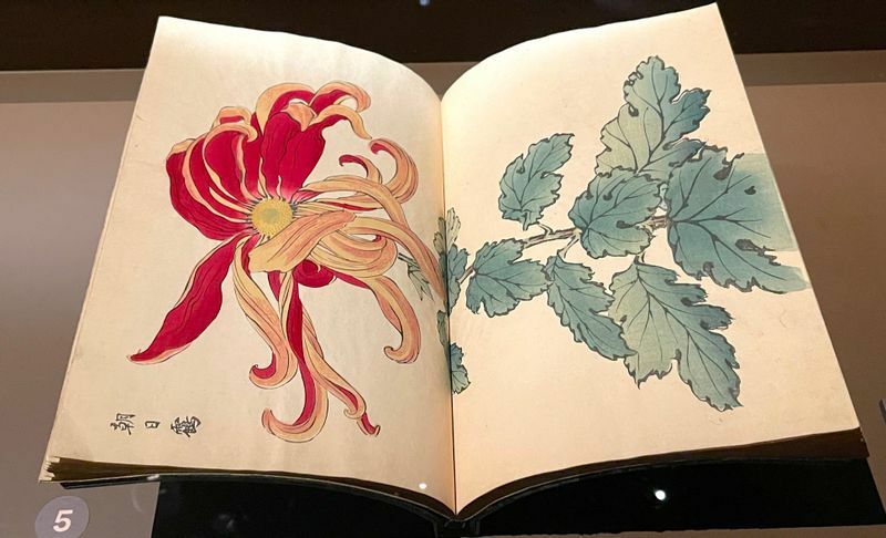 パリ装飾芸術博物館の蔵書になっている長谷川契華の『契花百菊』（1893）も会場に。明治時代の絵師の画力がヨーロッパのクリエーターたちのインスピレーションを刺激したことが伝わってくる