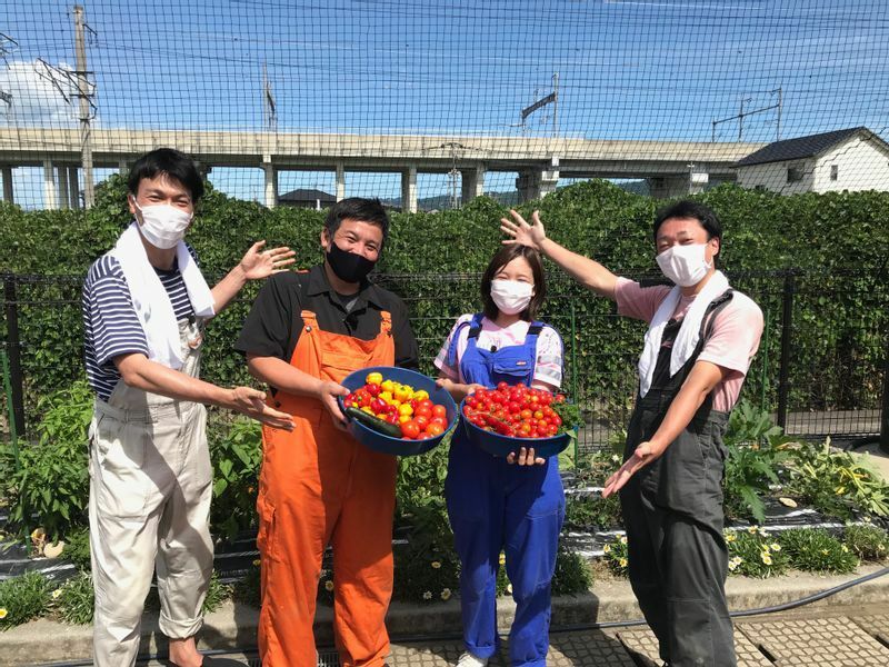 テレビ東京系列TVQ「園芸させてもらえませんか？」の番組出演者たちも収穫を行い、沢山のトマトが獲れて大喜び。このほかにフジテレビ系列TNCとのコラボもある