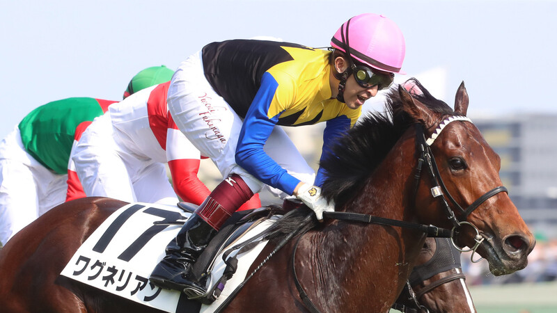 夏休みを終えたダービー馬ワグネリアン 気力は充実し馬体はパワーアップ 花岡貴子 個人 Yahoo ニュース 夏休みを終えたダービー馬ワグネリアン 気力は充実し馬体はパワーアップ 花岡貴子 個人 Yahoo ニュース