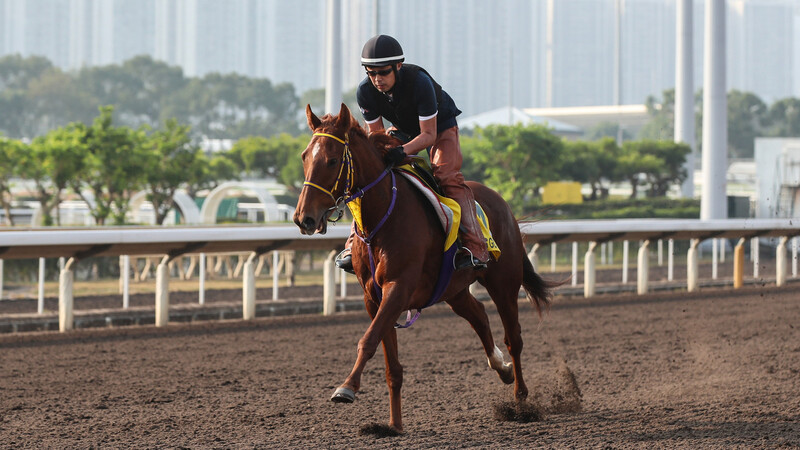 業界屈指の 美女子 の喜怒哀楽 レッツゴードンキ 万全の態勢で短距離王を目指す 花岡貴子 個人 Yahoo ニュース 業界屈指の 美女子 の喜怒哀楽 レッツゴードンキ 万全の態勢で短距離王を目指す 花岡貴子 個人 Yahoo ニュース