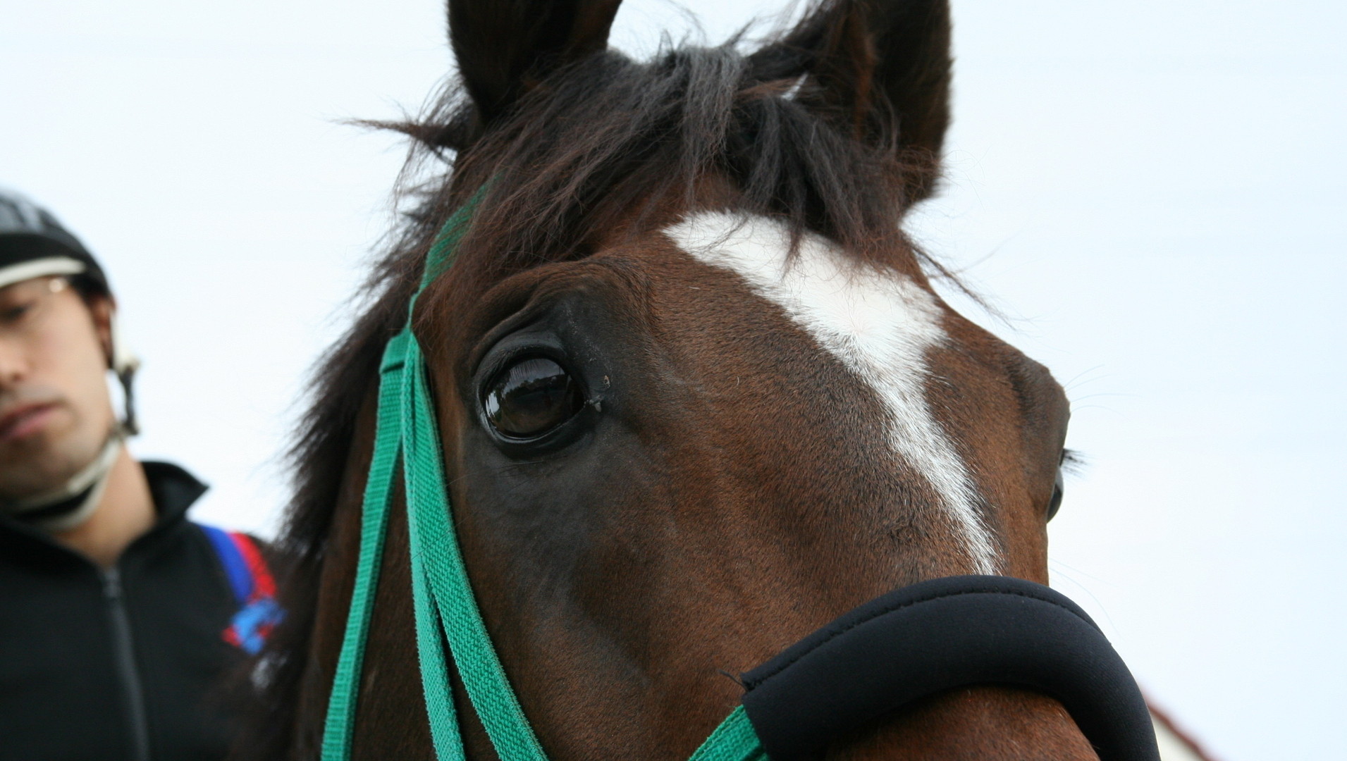 秋華賞 無敗の牝馬三冠を達成したデアリングタクトの底力と父