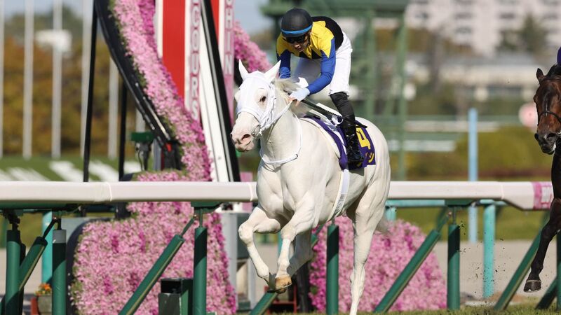 秋華賞 コース適性の高いソダシか エアグルーヴの孫や三冠牝馬の娘などの良血馬か 傾向とポイント 花岡貴子 個人 Yahoo ニュース 秋華賞 コース適性の高いソダシか エアグルーヴの孫や三冠牝馬の娘などの良血馬か 傾向とポイント 花岡貴子 個人 Yahoo ニュース