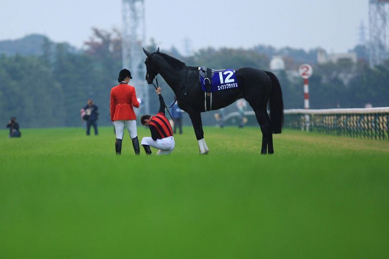 2012年 天皇賞・秋 (G1) エイシンフラッシュ、優勝 デムーロ、膝をついて両陛下に敬礼