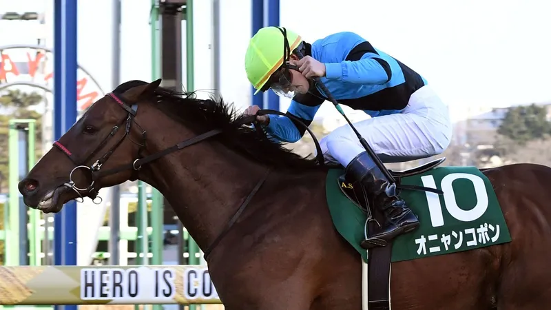 Jra重賞勝ちのオニャンコポン 天空神 猫 おニャン子クラブ 馬名にこめられた意図をオーナーに聞く 花岡貴子 個人 Yahoo ニュース Jra重賞勝ちのオニャンコポン 天空神 猫 おニャン子クラブ 馬名にこめられた意図をオーナーに聞く 花岡貴子 個人 Yahoo ニュース