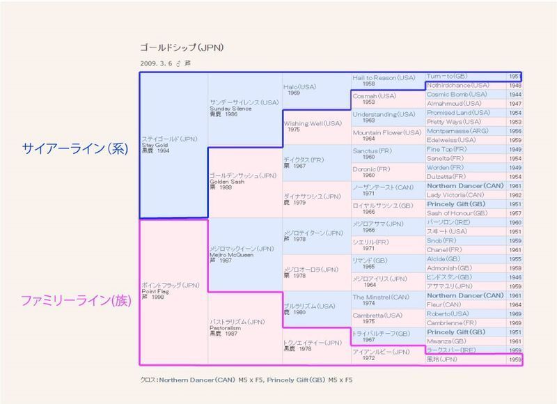 ゴールドシップの血統表にサイアーラインとファミリーラインを加筆(筆者作成)