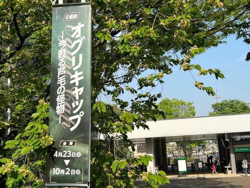 JRA東京競馬場東門を背にした「オグリキャップ展」の告知の垂れ幕(筆者撮影)
