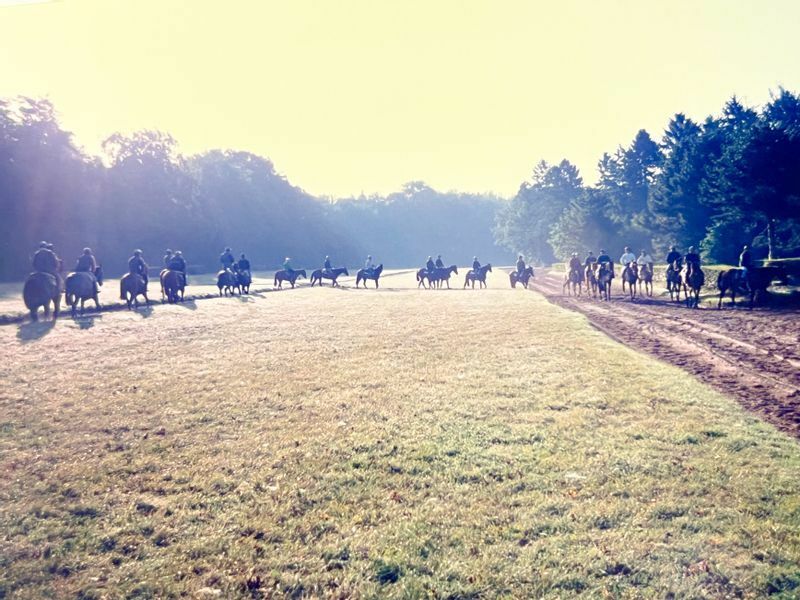 広大なフランス・シャンティの森で多くの馬たちと一緒に調教するタイキシャトル(筆者撮影)